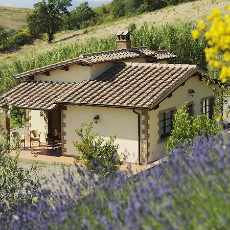 Le Capannacce Farm stay Cinigiano
